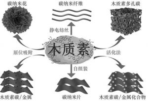 木質(zhì)素