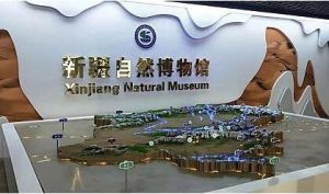 新疆自然博物館 新疆自然博物館
