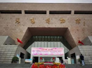 洛陽(yáng)博物館 洛陽(yáng)博物館