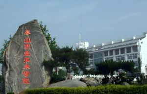 泰山職業技術學院