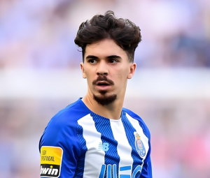 維蒂尼亞·費雷拉 維蒂尼亞·費雷拉