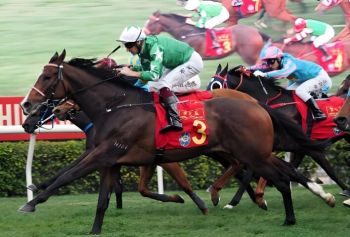 2025農歷新年賽馬日