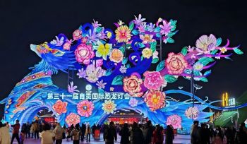 第三十一屆自貢國際恐龍燈會 第三十一屆自貢國際恐龍燈會