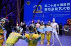 第二十屆中國(guó)吳橋國(guó)際雜技藝術(shù)節(jié)